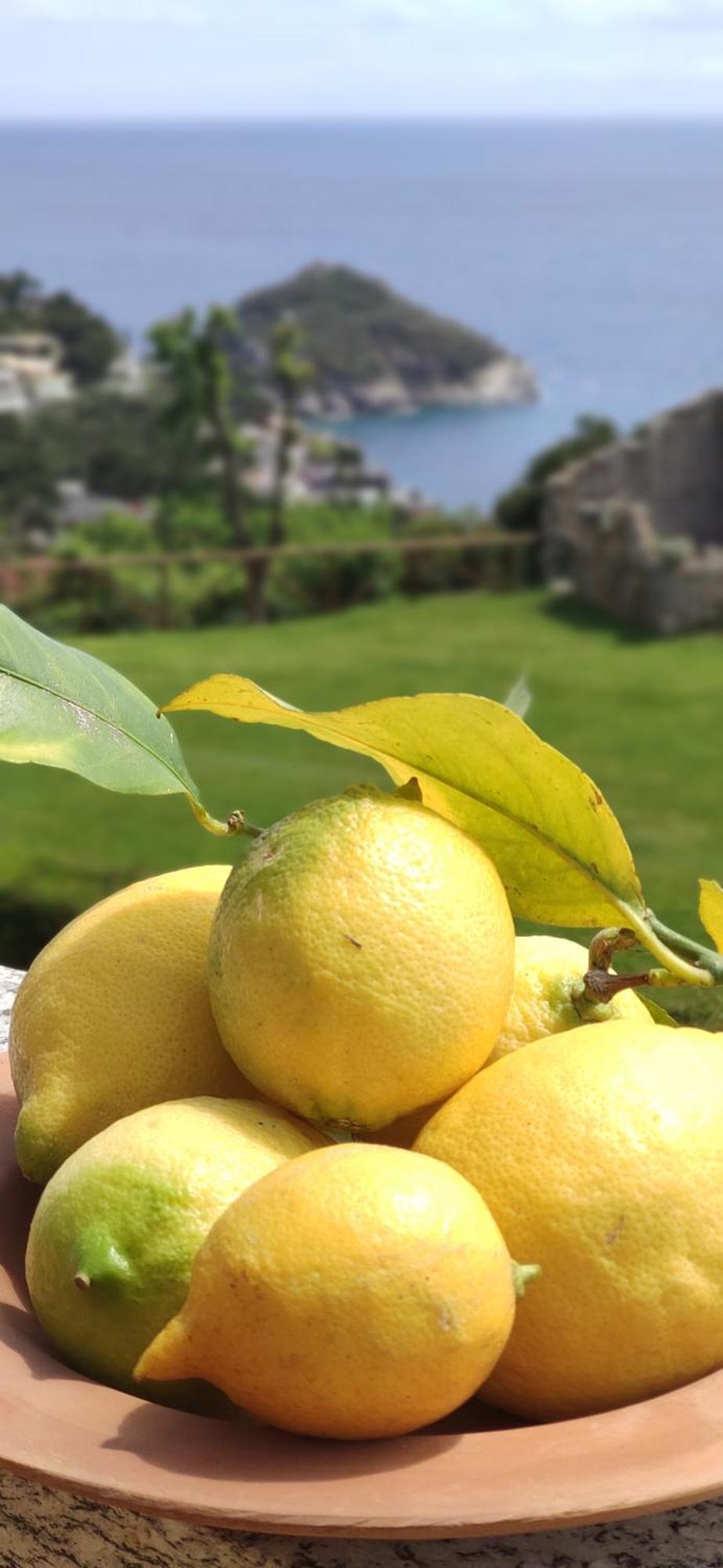 Il Giardino Sull'Isola - Appartamento - Bergeggi Buitenkant foto