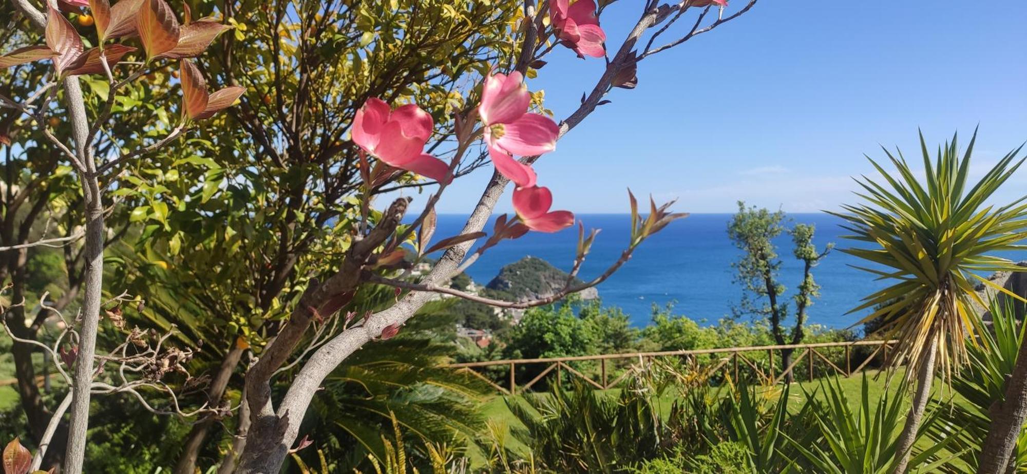 Il Giardino Sull'Isola - Appartamento - Bergeggi Buitenkant foto